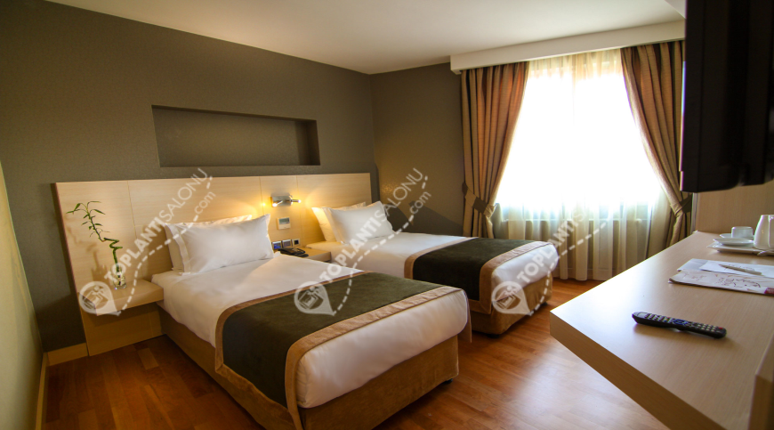 Otel | Türkiye, İstanbul, Beyoğlu, Taksim | TROYA HOTEL
