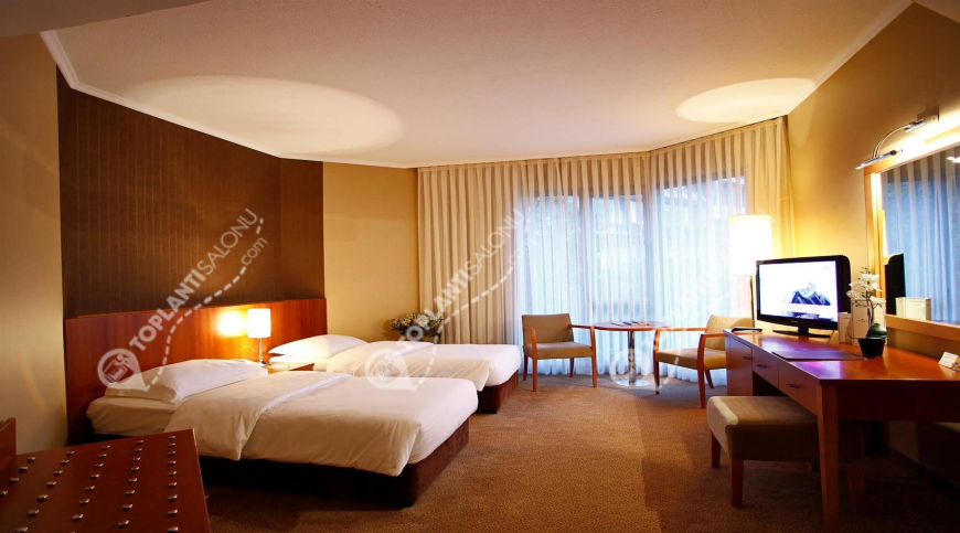 Otel | Türkiye, İstanbul, Bakırköy, Yeşilköy | ÇINAR HOTEL İSTANBUL