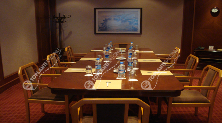 Otel | Türkiye, İstanbul, Bakırköy, Yeşilköy | ÇINAR HOTEL İSTANBUL | Executive Room Salonu